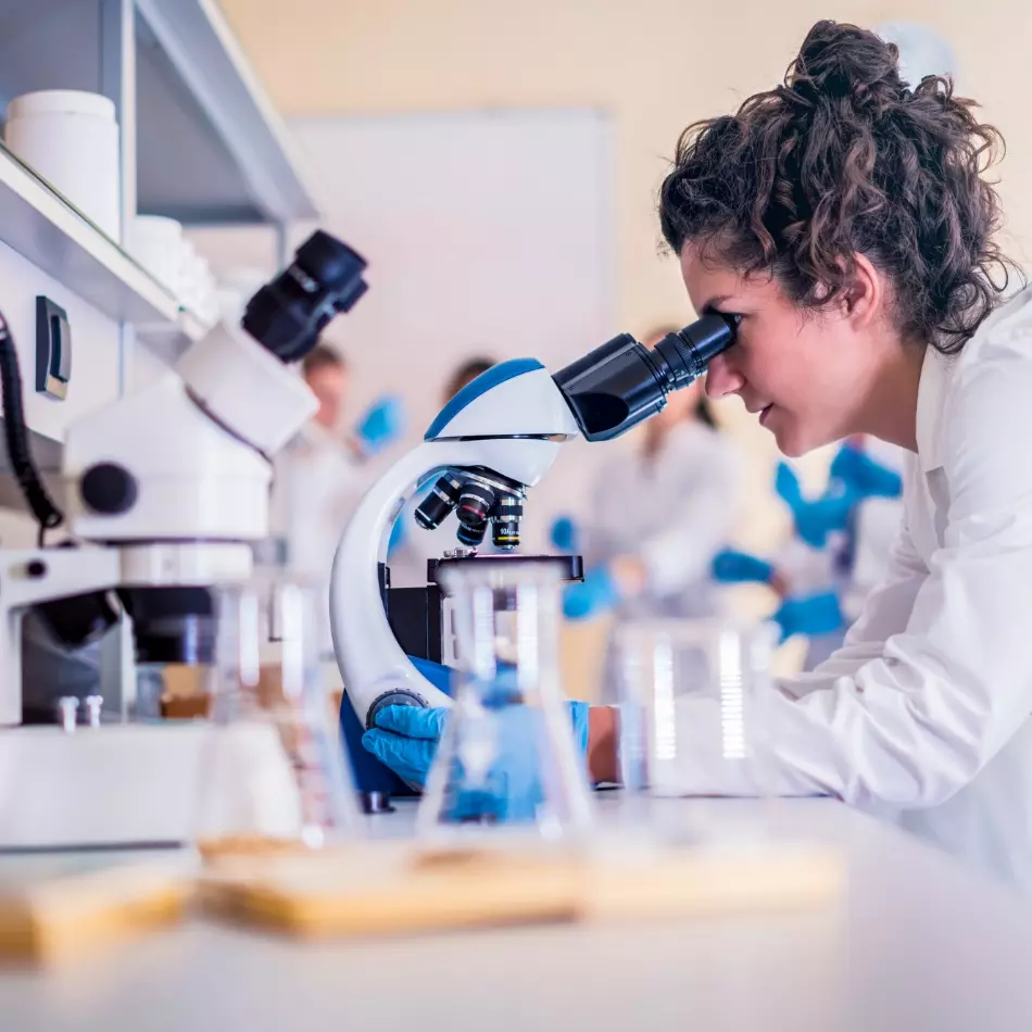 R&D & Quality